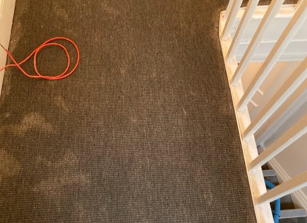 carpet after cleaning